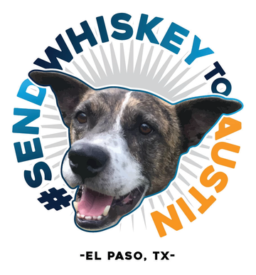 Insignia #SendWhiskeyToAustin con la foto de Whiskey, El Paso, TX
